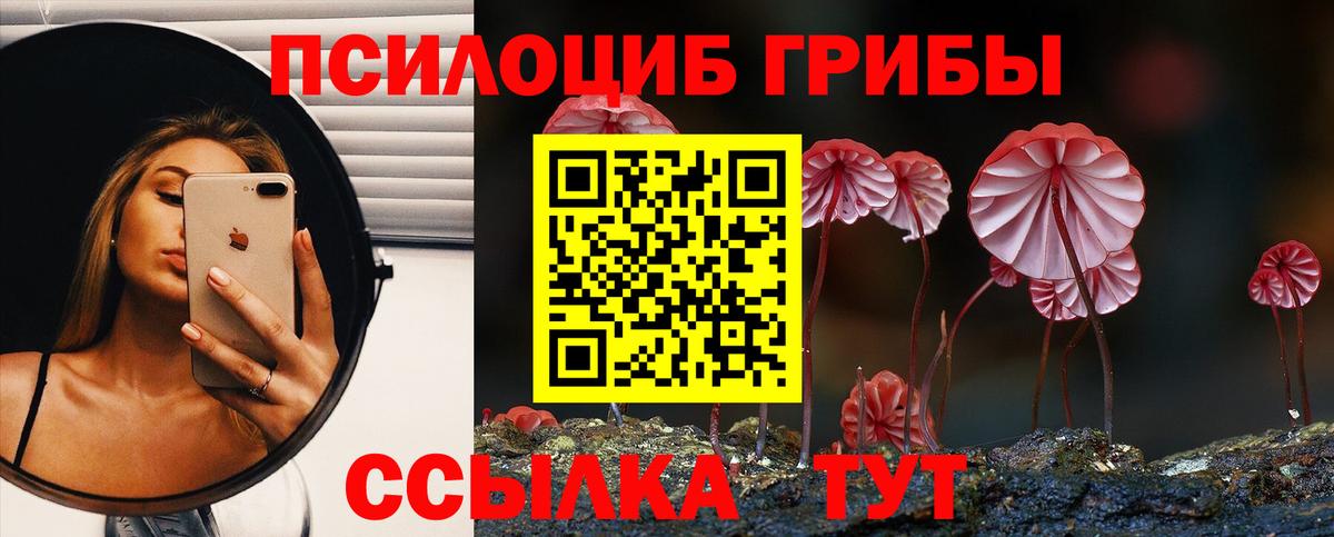 Галлюциногенные грибы мухоморы Урюпинск